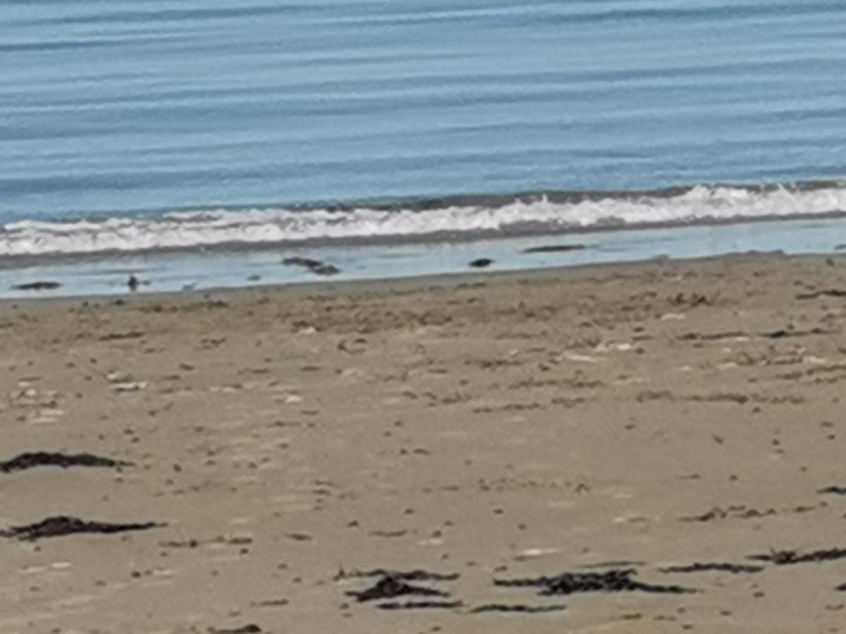 Snowdonia Sunbeach Holiday Sea And Mountain View Llwyngwril Eksteriør bilde