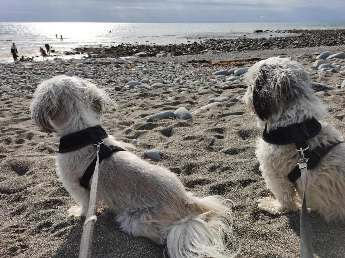 Snowdonia Sunbeach Holiday Sea And Mountain View Llwyngwril Eksteriør bilde